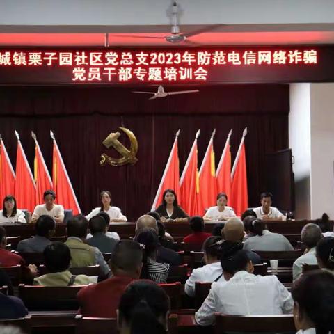 防范电信诈骗 筑牢安全底线 ——鹿城镇栗子园社区开展防范电信网络诈骗宣传活动