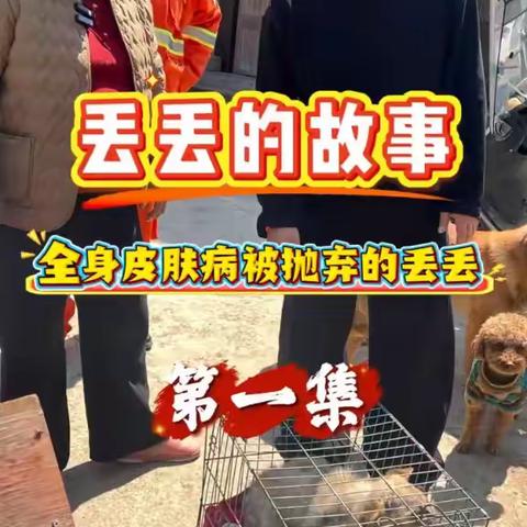 我是杨哥，救助了300多只毛孩子，每个毛孩子都曾经在外流浪，现在它们终于不用被人驱赶了......