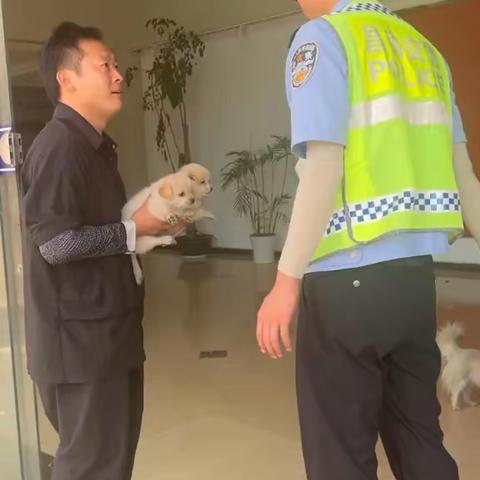 到交通警察这救助一只被遗弃的毛孩子，救助4年，基地300多只毛孩子太暖心了！