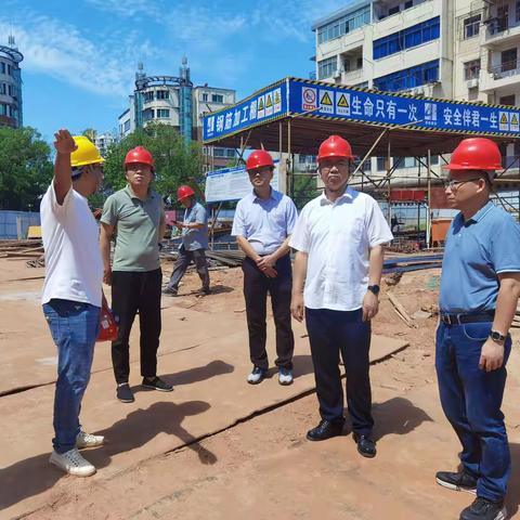 蓝师龙节前督导项目建设和安全生产工作