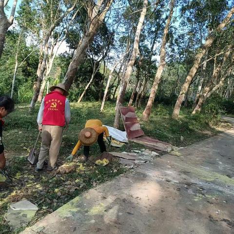 和舍镇积极开展冬春季爱国卫生运动