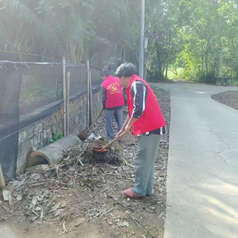和舍镇持续深入开展爱国卫生运动成效巩固提升行动