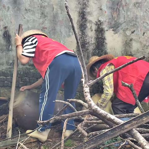 和舍镇持续深入开展爱国卫生运动成效巩固提升行动