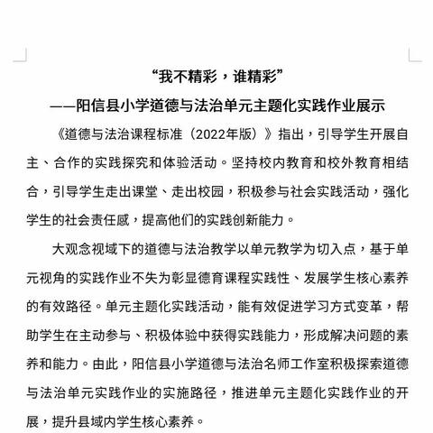 我们很精彩  作业也精彩——阳信县道德与法治单元主题化实践作业展示（六年级作业）（十七）