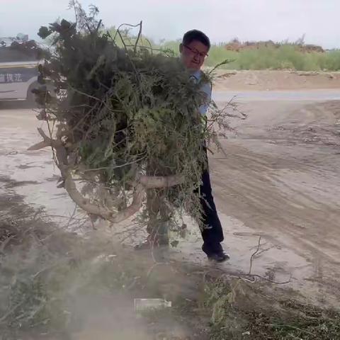 【三抓三促进行时】 桥下空间再治理   路域环境换新颜