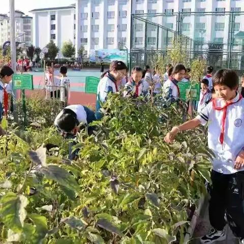 【教育教学故事】用爱浇灌 静待花开