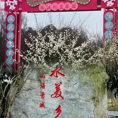 20230216老体协活动简报（问花村）