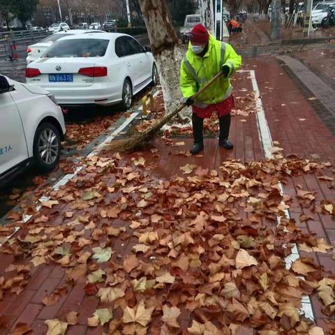 冬雨催落叶   环卫忙清扫