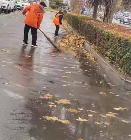 雨后落叶萧萧下，落叶清扫“攻坚战”