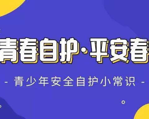 【海拉尔区沿山路小学】我们的节日“青春自护·平安春节”青少年自护教育