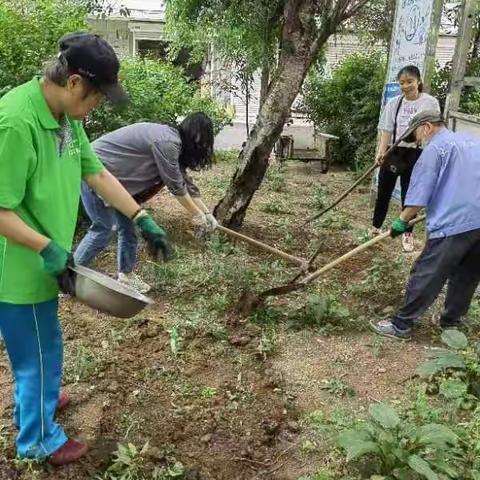 【兴顺街道建北社区】爱绿、护绿、共建绿色家园