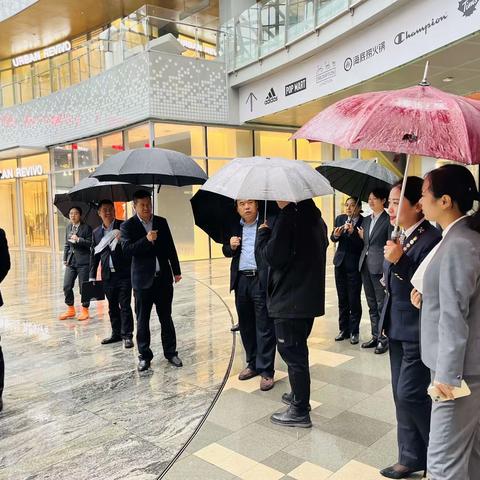 拓视野、品质赋能促提升