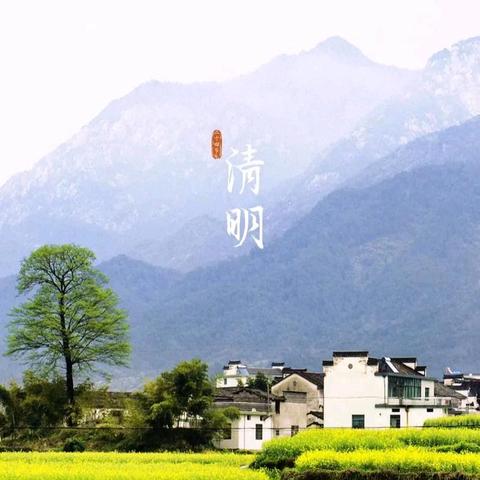 清明时节的诗意画卷——﻿六年级清明节绘画展示