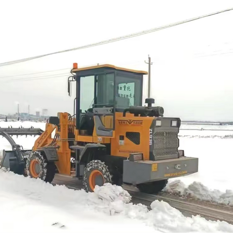 七里营镇：大雪压枝 干群齐心扫出条条安心路