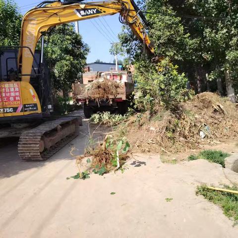 磨头镇：详细分工 重点作战 让高效清洁覆盖每个角落