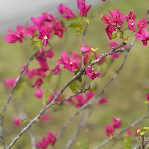 雨已停，太阳出来了