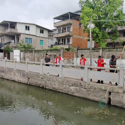 浦口镇开展2025年第十次“河长日”活动