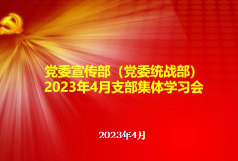 党委宣传部(党委统战部) 党支部召开4月集体学习会