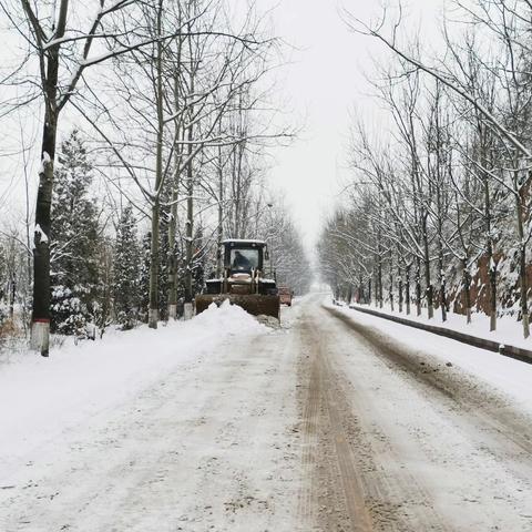 除雪保畅 护航春运安全—盂县东公路管理段