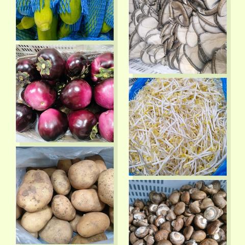 美“食”美刻 金桥小学高丽铺校区 第2周食谱（2.17-2.21）