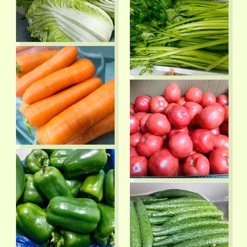 开启味蕾 健康启航 金桥小学高丽铺校区 第四周食谱（3.3-3.7）