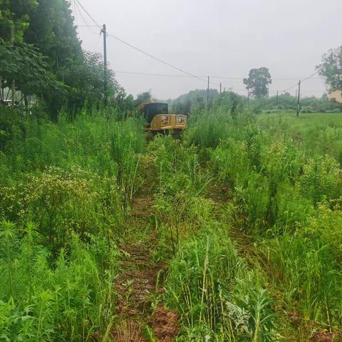 汤溪镇风雨无阻清表，保障衢江提水民生工程顺利推进