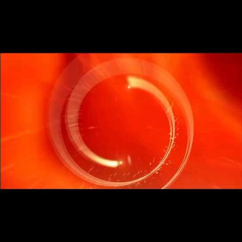 不期而遇的冬天 ‍海晟物业漳州烟草区域 ‍2024年第11期服务简报 ‍ ‍