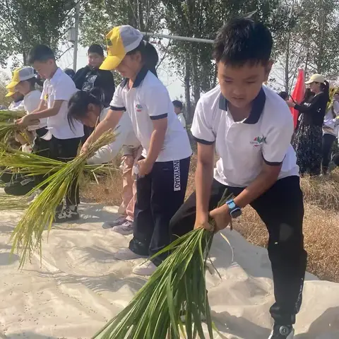 【秋收·】博兴县第一小学三年级四班国庆秋收活动