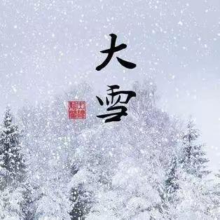 中心附小观雪、写雪作文