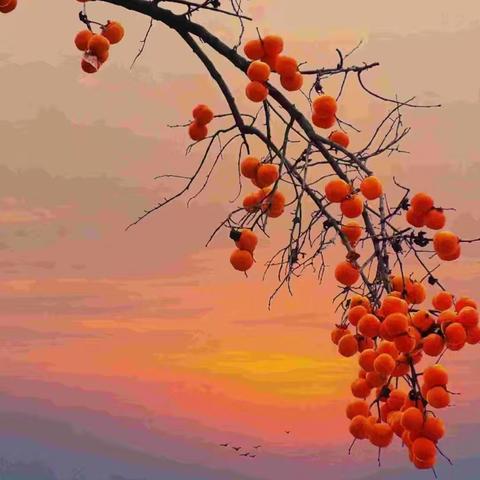 撷一抹诗意 寻一路花开 ----记第五届初中群文阅读教学观摩研讨系列活动