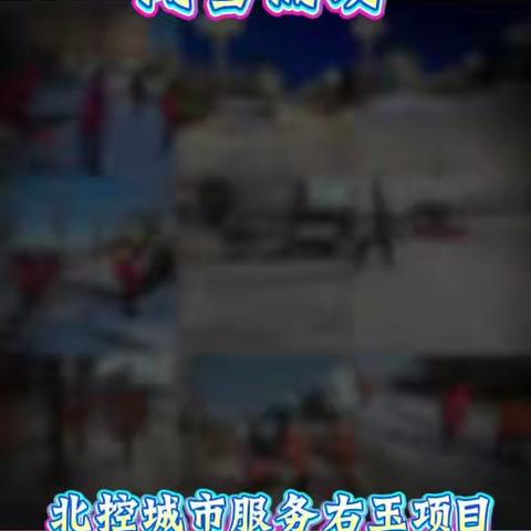 风雪为令，除雪护航--记12月12日除雪清雪行动