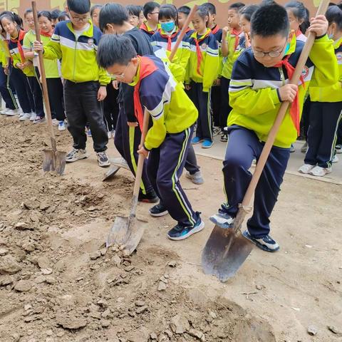 🍀🌼快乐劳动，传承美德🌸🍀             兴华小学四5班五一劳动节活动