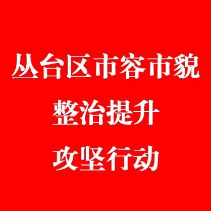 丛台区综合执法局：全面开展市容市貌整治提升攻坚行动