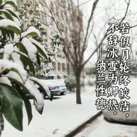 赏雪诵诗，品味诗词魅力