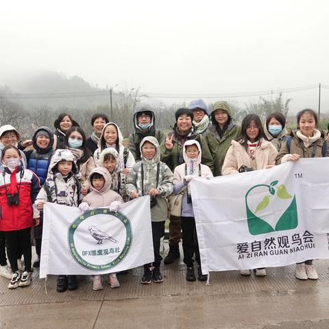 湿冷的天气也无法阻挡我们去加新——记从化桂峰村观鸟之旅