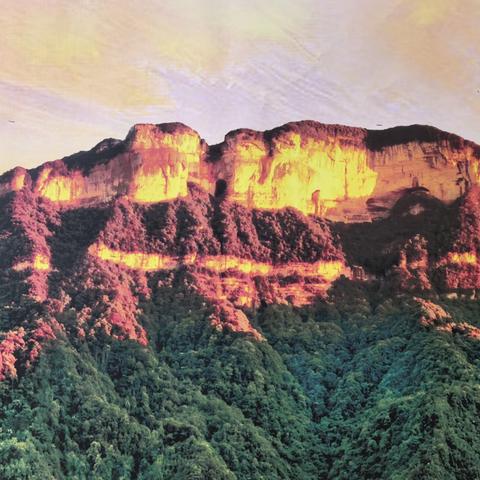 2035.20260329游重庆南川金佛山（5A）