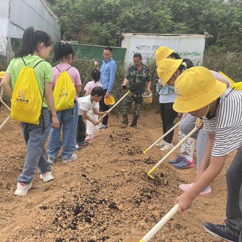 我们与自然的约会 --口岸社区学农实践项目