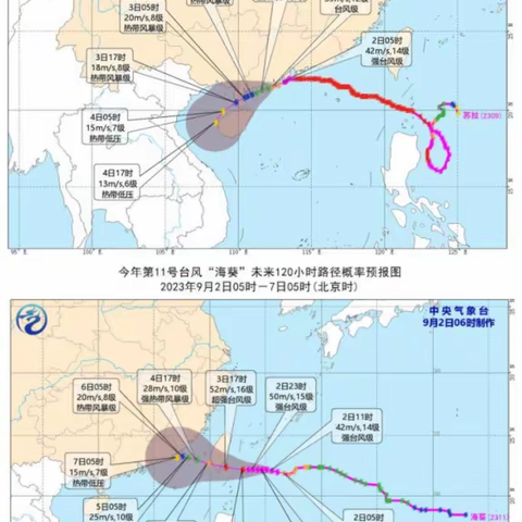 双台闹深，雷暴加持，水漫罗湖 ——仙湖植物园B标奋力组织全员灾后重建工作实录