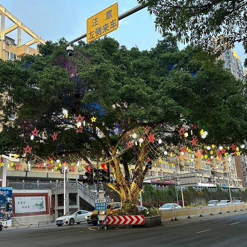 早春福建游——漳州