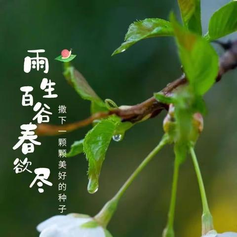 “雨生谷雨，万物皆可期”——九色鹿思达幼儿园