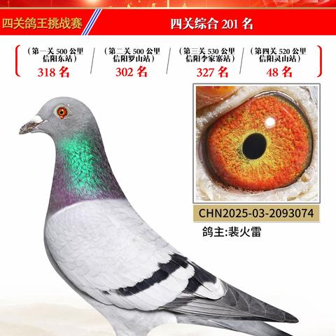 2025年邯郸振其赛鸽俱乐部四关鸽王201-209名