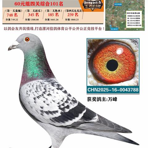 2025年漯河诚浩赛鸽俱乐部特比环60元组四关综合101-131名
