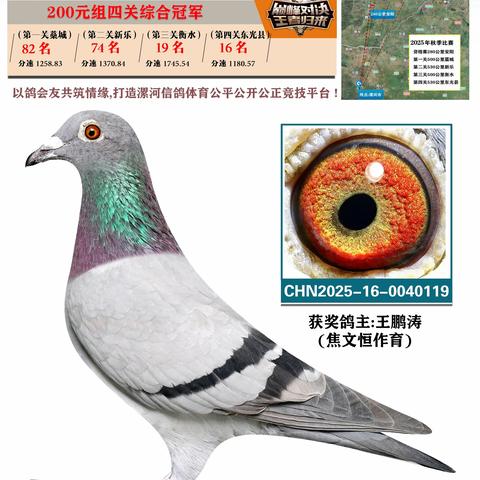 2025年漯河诚浩赛鸽俱乐部特比环200元组四关综合1-43名