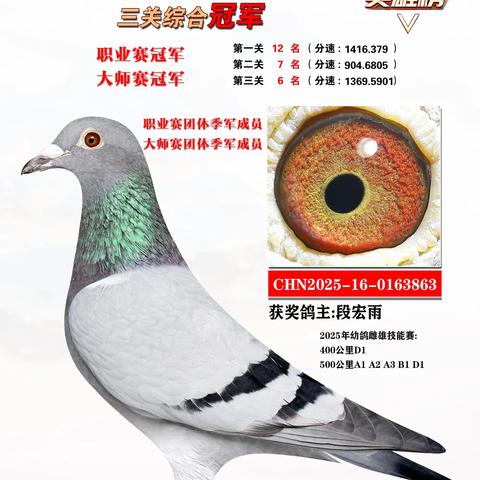 2025年长垣市信鸽协会三关综合1-20名英雄榜