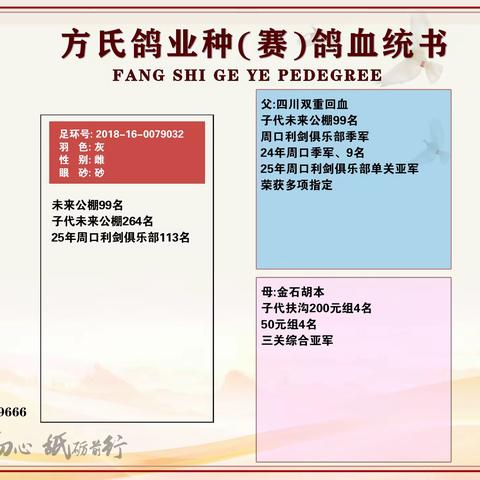 方氏鸽业种赛鸽血统书