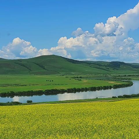 走进呼仑贝尔大草原