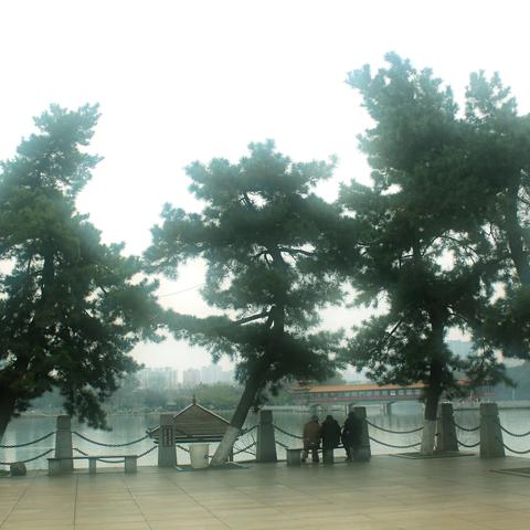 同窗甲子纪念