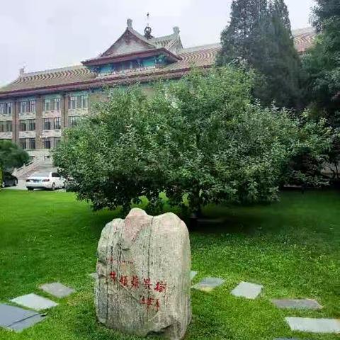 同学六十一周年纪念 第一辑 风采依旧，文笔流畅