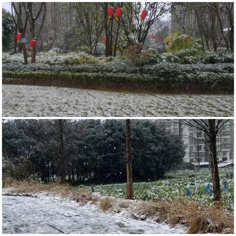 瑞雪兆丰年