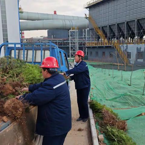 烘熔钢铁3月12日植树活动